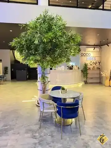 قراف كافيه — 3