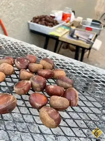 شاطئ بنفسج — 2